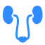 UROLOGIA